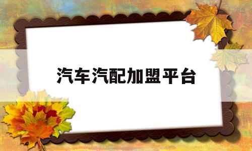 汽车汽配加盟平台(汽车配件加盟店投资多少钱)