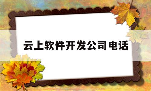 云上软件开发公司电话(云上软件开发公司电话是多少)