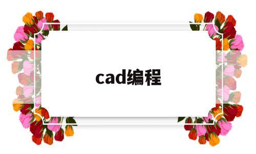 cad编程(cad编程软件哪个好)