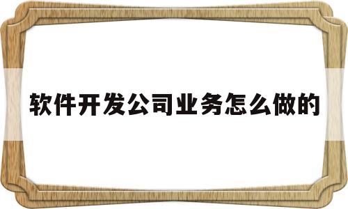 软件开发公司业务怎么做的(软件开发公司业务怎么做的呢)
