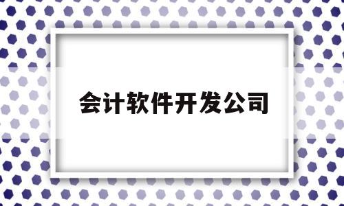会计软件开发公司(软件开发公司的会计)