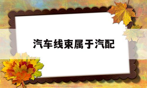 汽车线束属于汽配(汽车线束是电子厂吗)