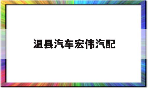 温县汽车宏伟汽配(温县汽车宏伟汽配店)