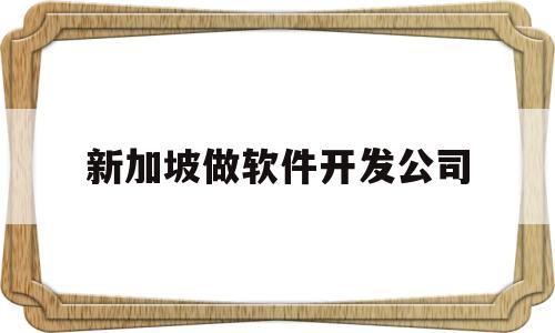 新加坡做软件开发公司(新加坡做软件开发公司怎么样)