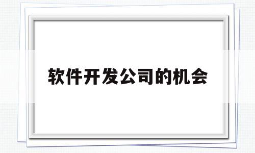 软件开发公司的机会(软件开发公司的机会分析)