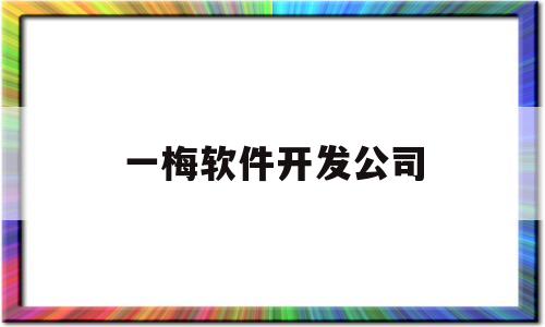 一梅软件开发公司(西安软件开发公司10强)