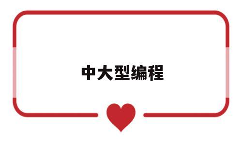 中大型编程(大型编程制作)