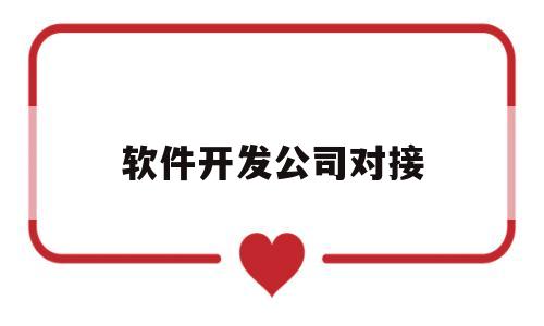 软件开发公司对接(软件开发公司哪里接业务)