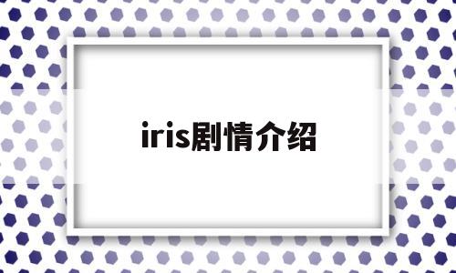 iris剧情介绍(iris电影版结局解析)
