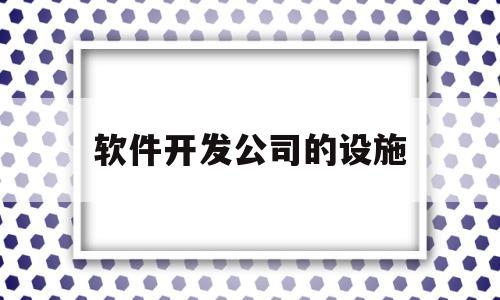 软件开发公司的设施(软件公司经营范围大全)