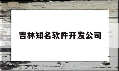 吉林知名软件开发公司(吉林知名软件开发公司有哪些)
