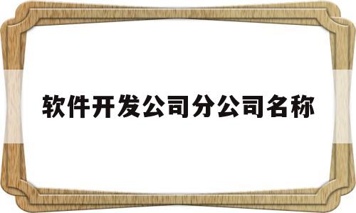 软件开发公司分公司名称(软件开发公司分公司名称大全)