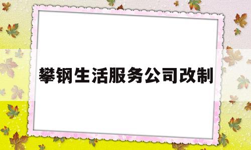 攀钢生活服务公司改制(攀钢生活服务公司改制最新消息)