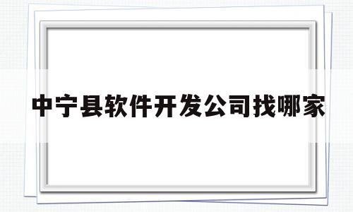 中宁县软件开发公司找哪家(中宁县软件开发公司找哪家好)