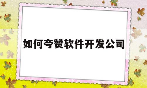 如何夸赞软件开发公司(如何夸赞软件开发公司的员工)