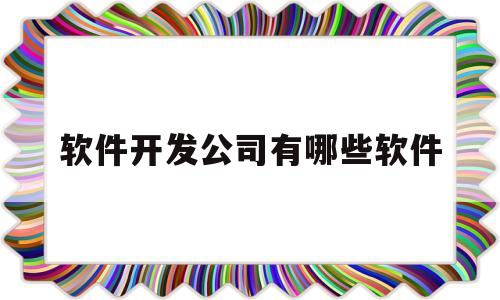 软件开发公司有哪些软件(软件开发公司一般叫什么名字)