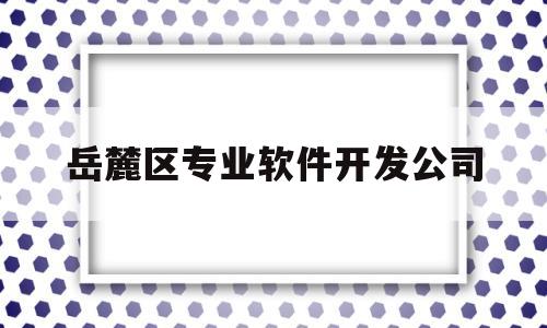 岳麓区专业软件开发公司(岳麓区专业软件开发公司招聘)