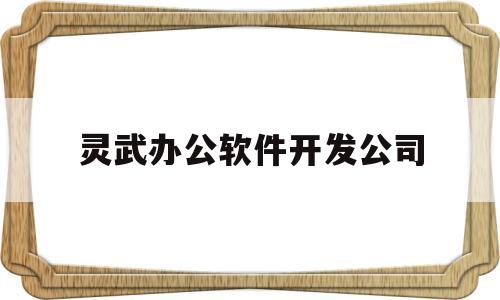 灵武办公软件开发公司(灵武办公软件开发公司排名)