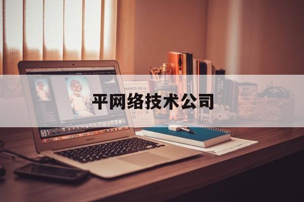 平网络技术公司(网络技术公司是做什么的)