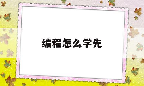 编程怎么学先(编程先从哪里开始学)