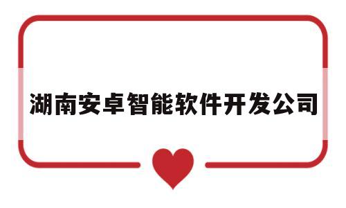 湖南安卓智能软件开发公司(湖南安卓智能软件开发公司怎么样)