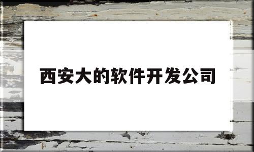 西安大的软件开发公司(西安大的软件开发公司排名)