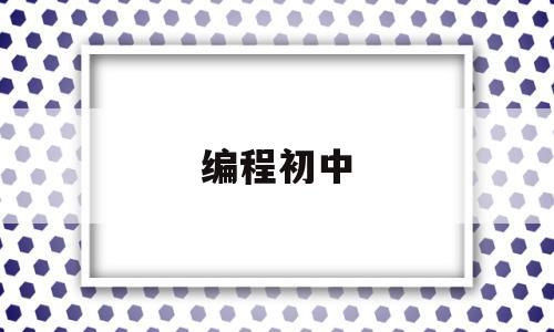 编程初中(编程初中生学用途大吗)