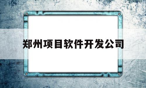 郑州项目软件开发公司(郑州做软件开发的工资待遇)
