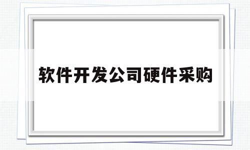 软件开发公司硬件采购(软件开发公司硬件采购工作内容)