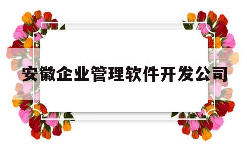 安徽企业管理软件开发公司(安徽企业管理软件开发公司排名)