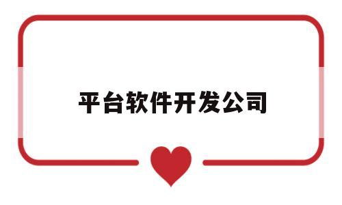 平台软件开发公司(平台软件开发公司排行榜)