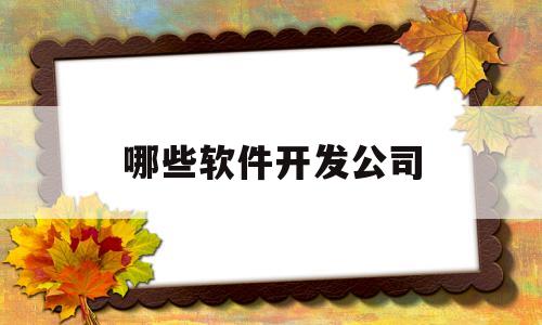 哪些软件开发公司(哪家软件开发公司好)