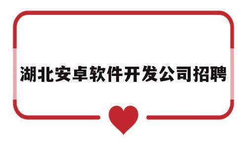 湖北安卓软件开发公司招聘(湖北安卓软件开发公司招聘信息)