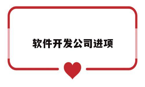 软件开发公司进项(软件开发进项税额怎么算)