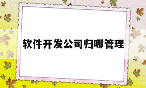 软件开发公司归哪管理(软件开发公司有哪些部门)