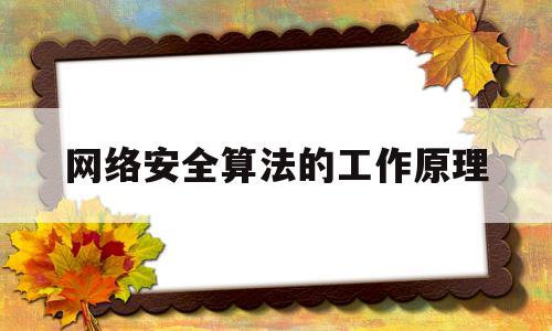 网络安全算法的工作原理(网络安全算法的工作原理是)