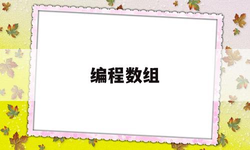 编程数组(编程数组排序方法)