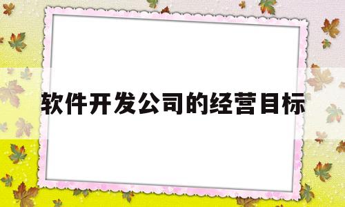 软件开发公司的经营目标(软件开发公司的经营目标怎么写)