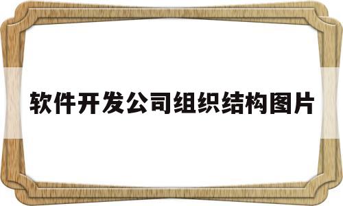 软件开发公司组织结构图片(软件开发公司组织架构及部门职责)