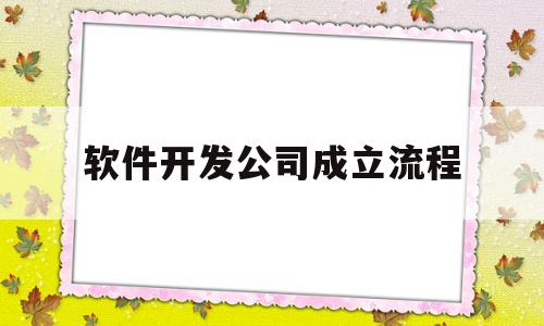 软件开发公司成立流程(软件开发注册公司需要多少钱)
