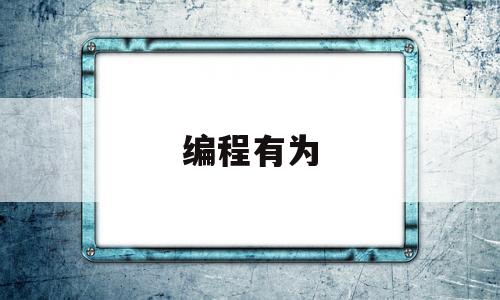 编程有为(编程有趣吗)