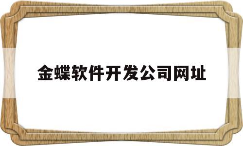 金蝶软件开发公司网址(金蝶软件开发公司网址是多少)