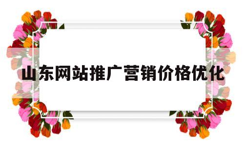 山东网站推广营销价格优化(山东营销型网站建设)
