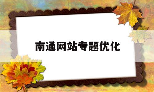 南通网站专题优化(南通网站建设排名)