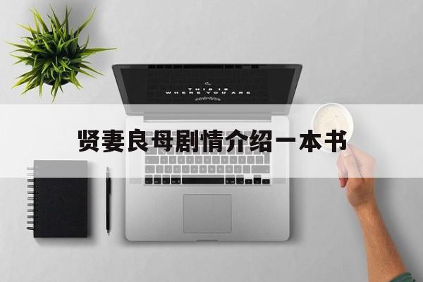 贤妻良母剧情介绍一本书(贤妻良母一共多少集)