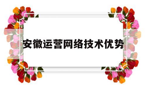 安徽运营网络技术优势(安徽运营网络技术优势和劣势)