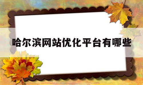 哈尔滨网站优化平台有哪些(哈尔滨seo排名优化公司价格)