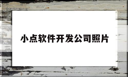 小点软件开发公司照片(小点图片软件)