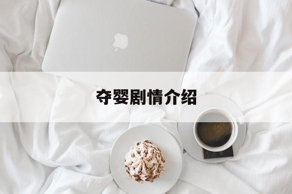 夺婴剧情介绍(夺43集)