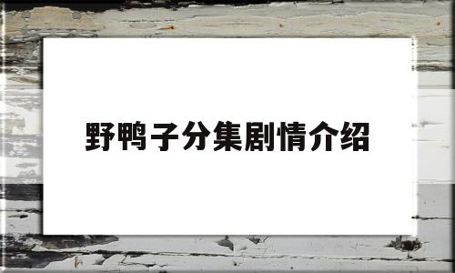 野鸭子分集剧情介绍(野鸭子电视剧剧情介绍)